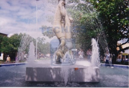 img219.jpg